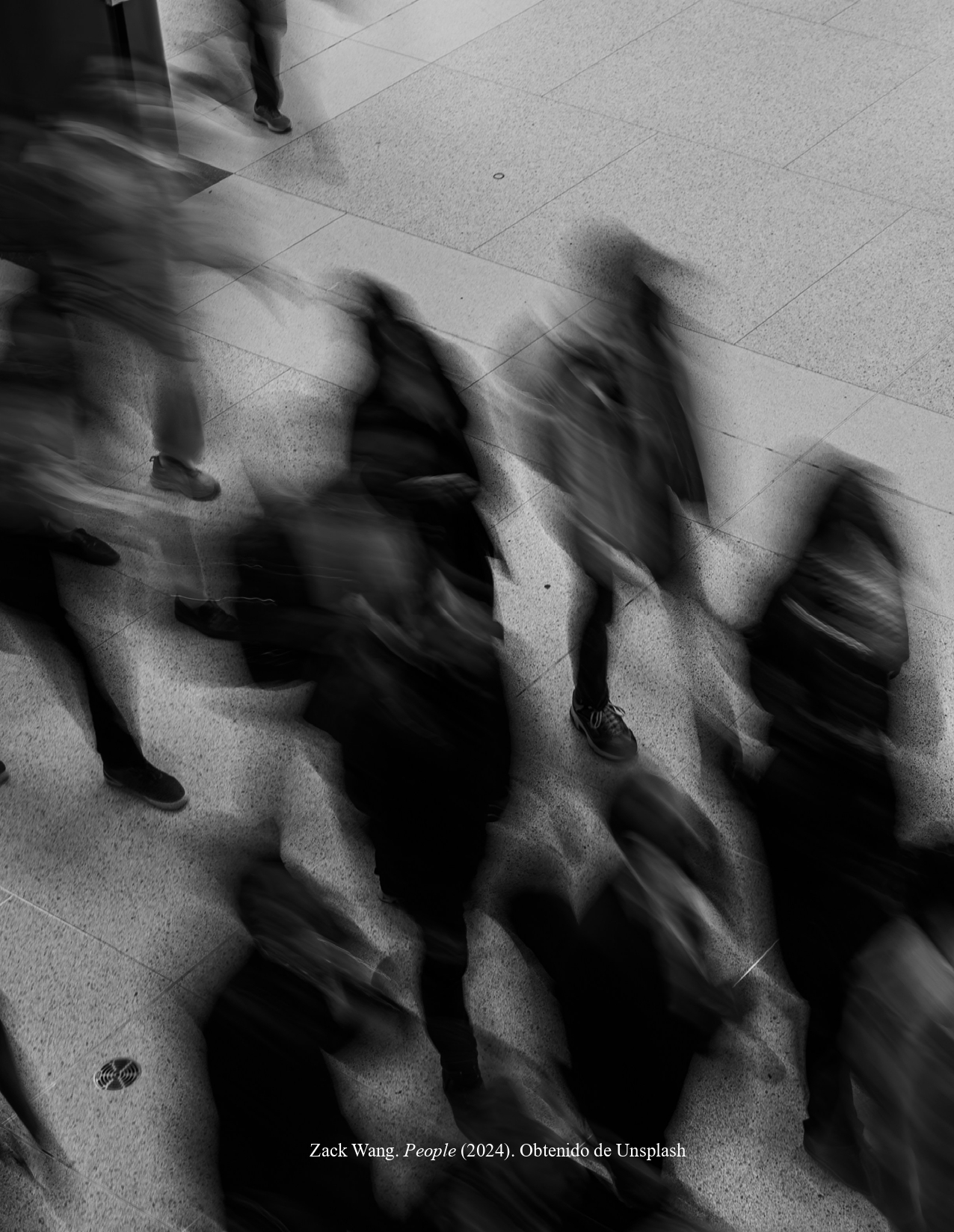 Zack Wang. People (2024)