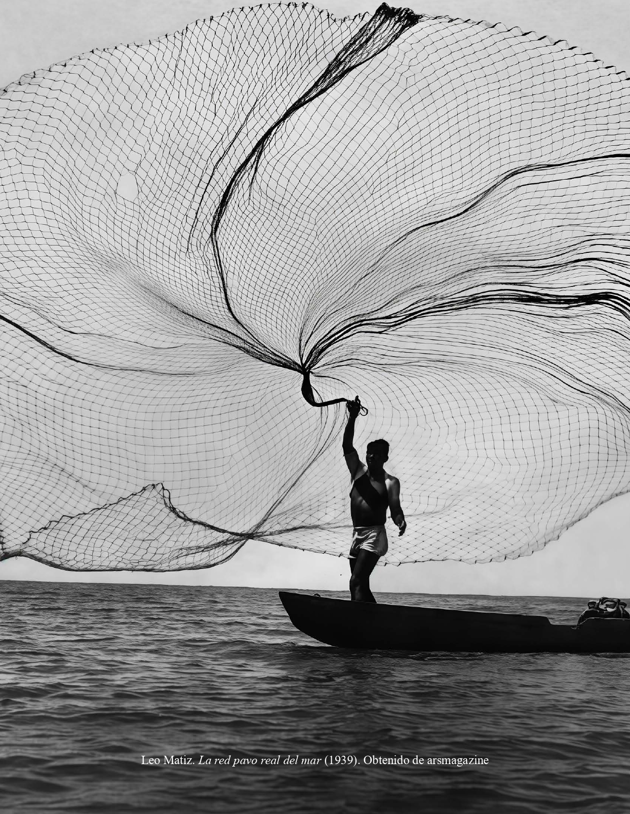 Leo Matiz. La red pavo real del mar (1939)